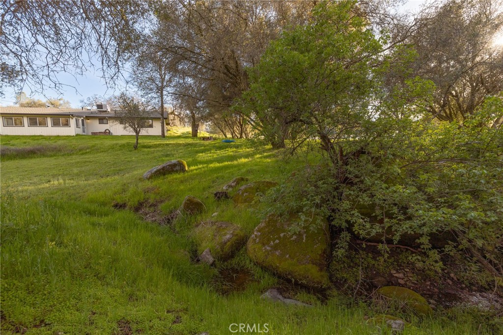 43317 Running Deer Court