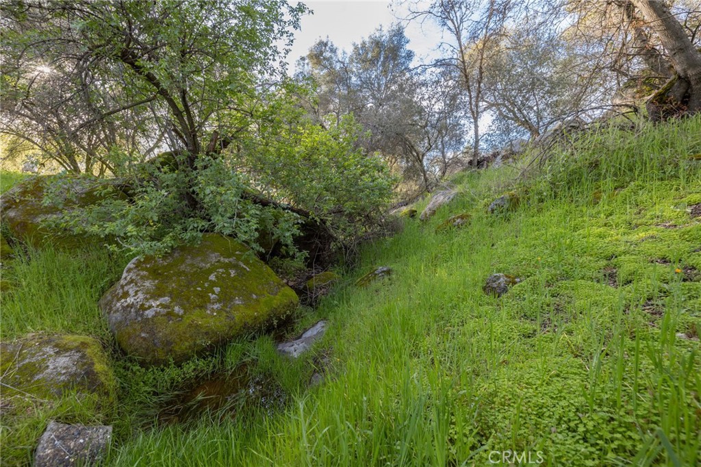 43317 Running Deer Court