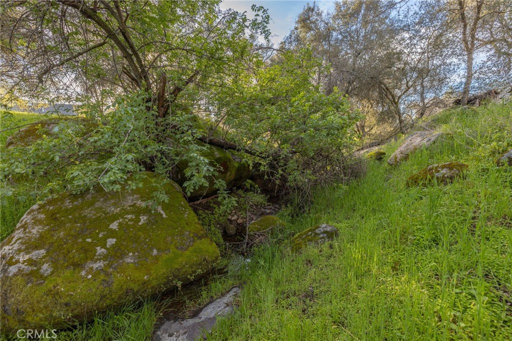 43317 Running Deer Court