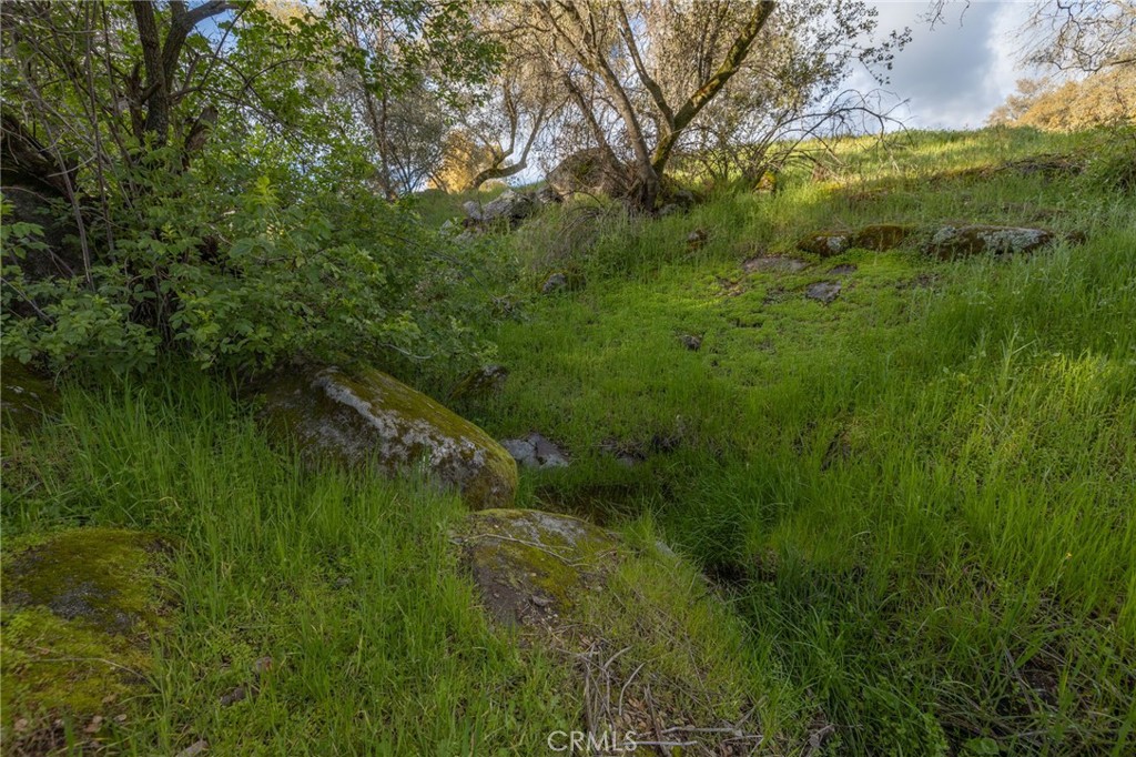 43317 Running Deer Court