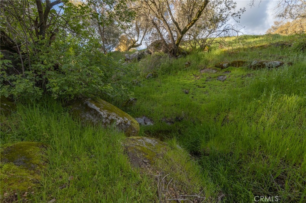 43317 Running Deer Court