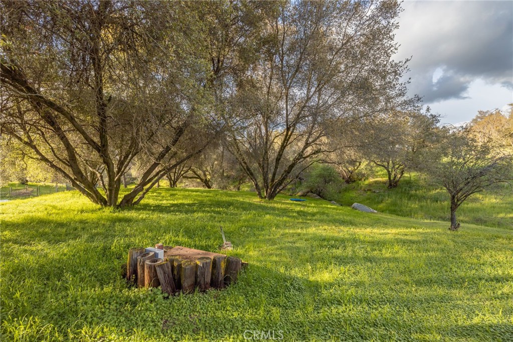 43317 Running Deer Court