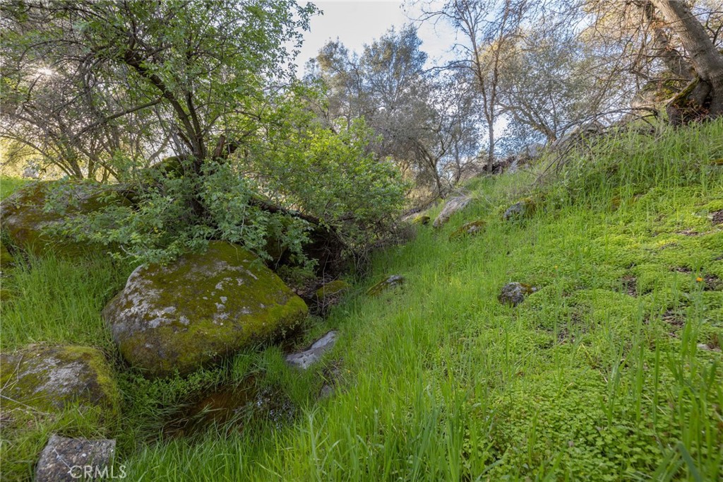 43317 Running Deer Court