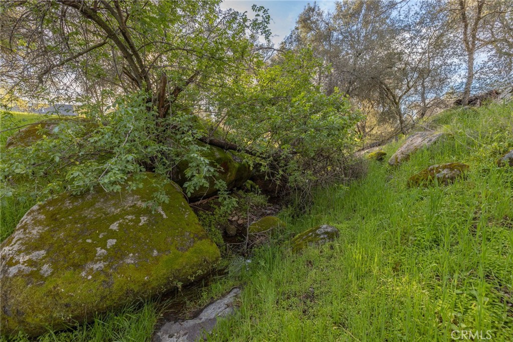 43317 Running Deer Court