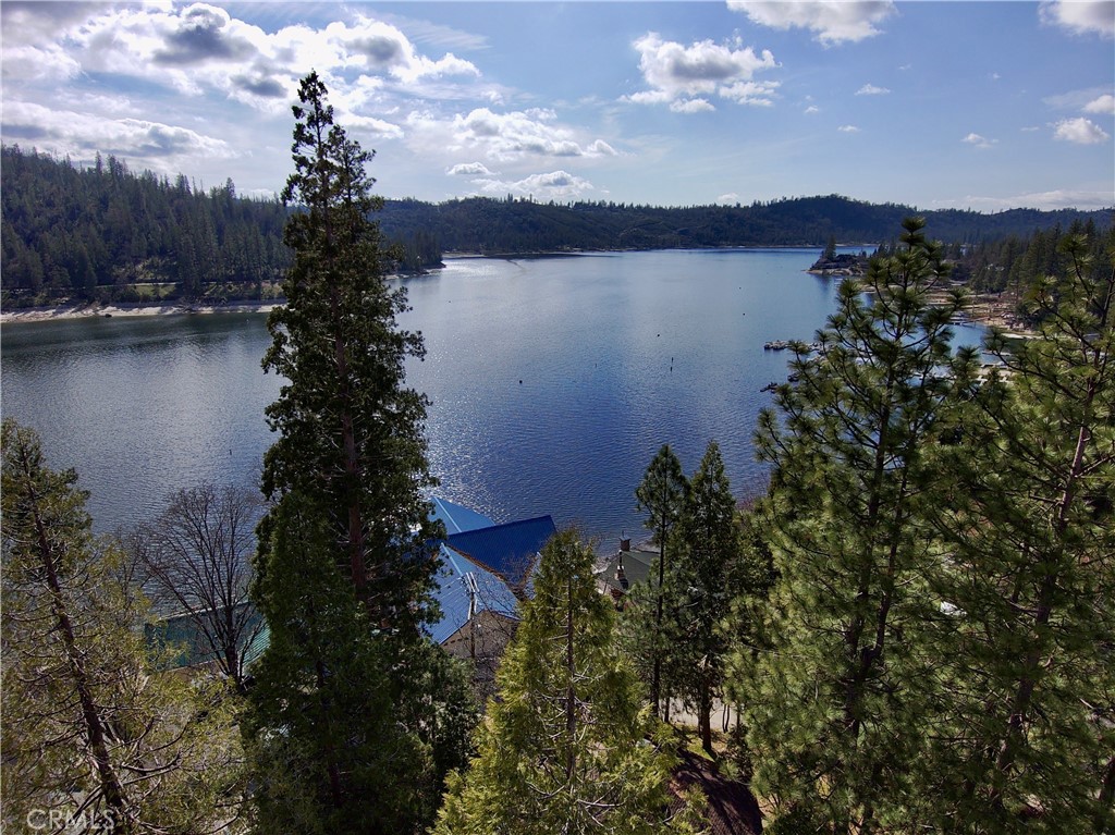 39121 Lake Drive