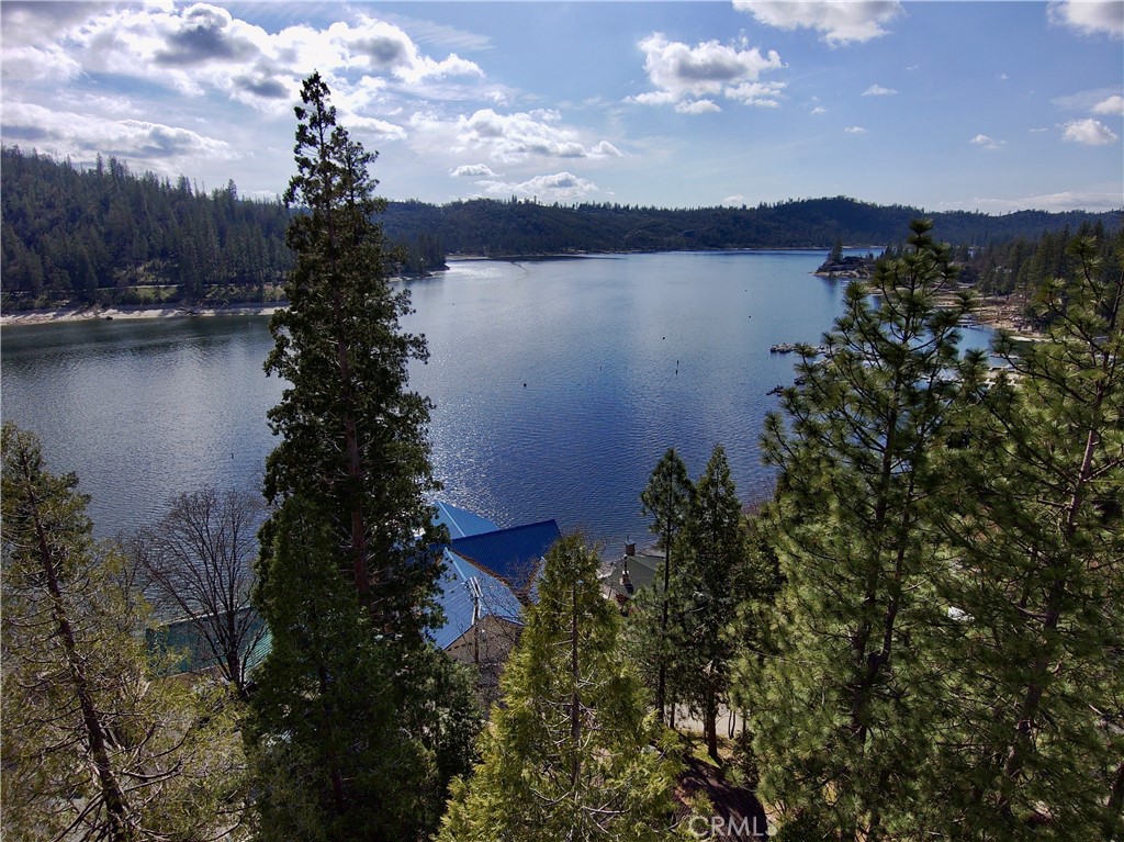 39121 Lake Drive