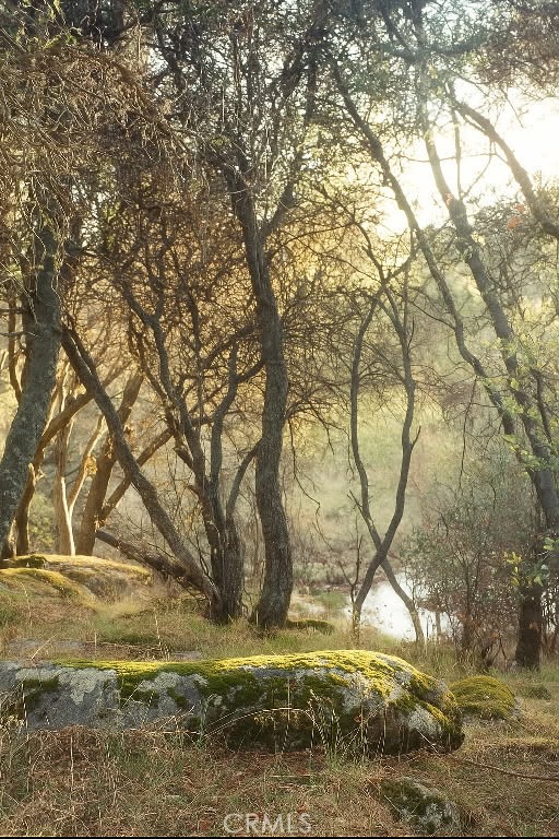 32413 Chickasaw Road