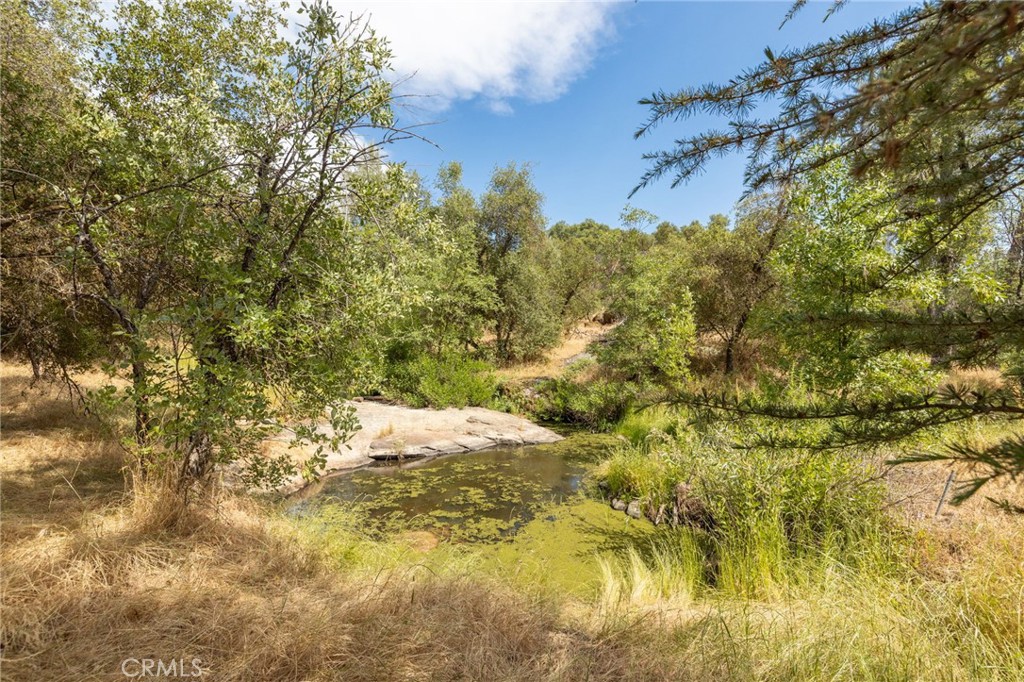 32413 Chickasaw Road