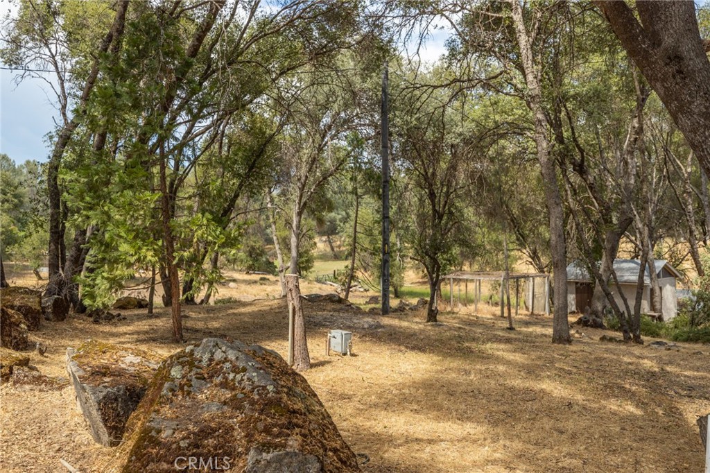 32413 Chickasaw Road