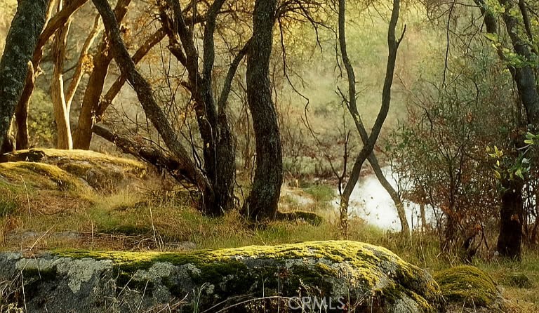 32413 Chickasaw Road