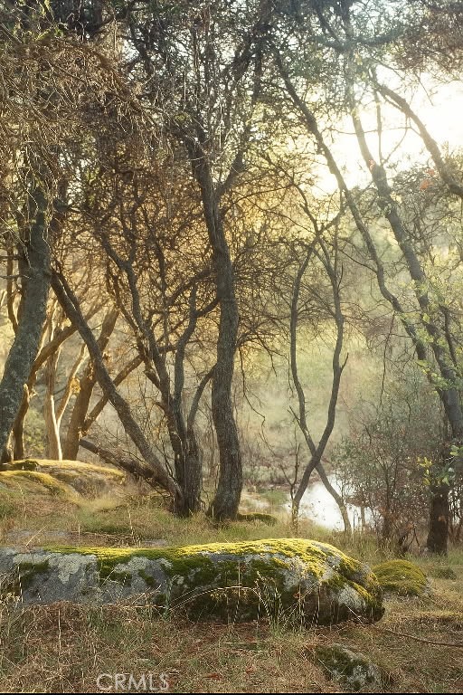 32413 Chickasaw Road