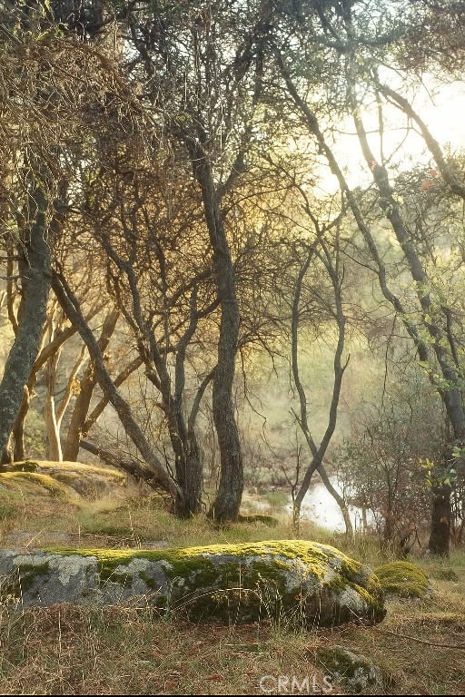 32413 Chickasaw Road