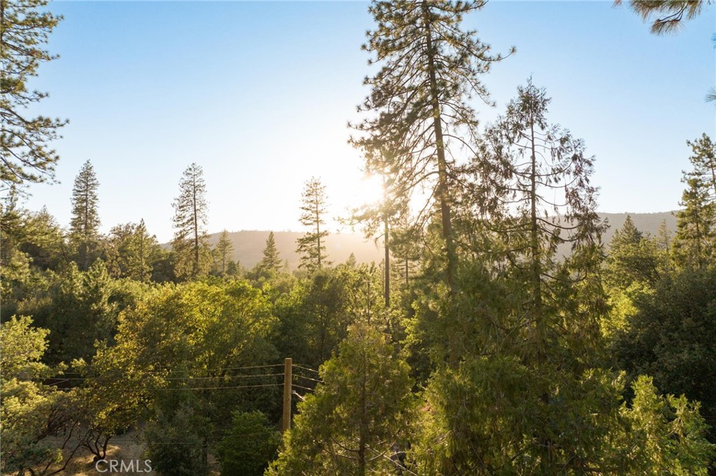 43207 West Sugar Pine Dr