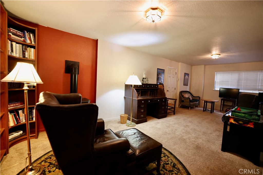 40547 Saddleback