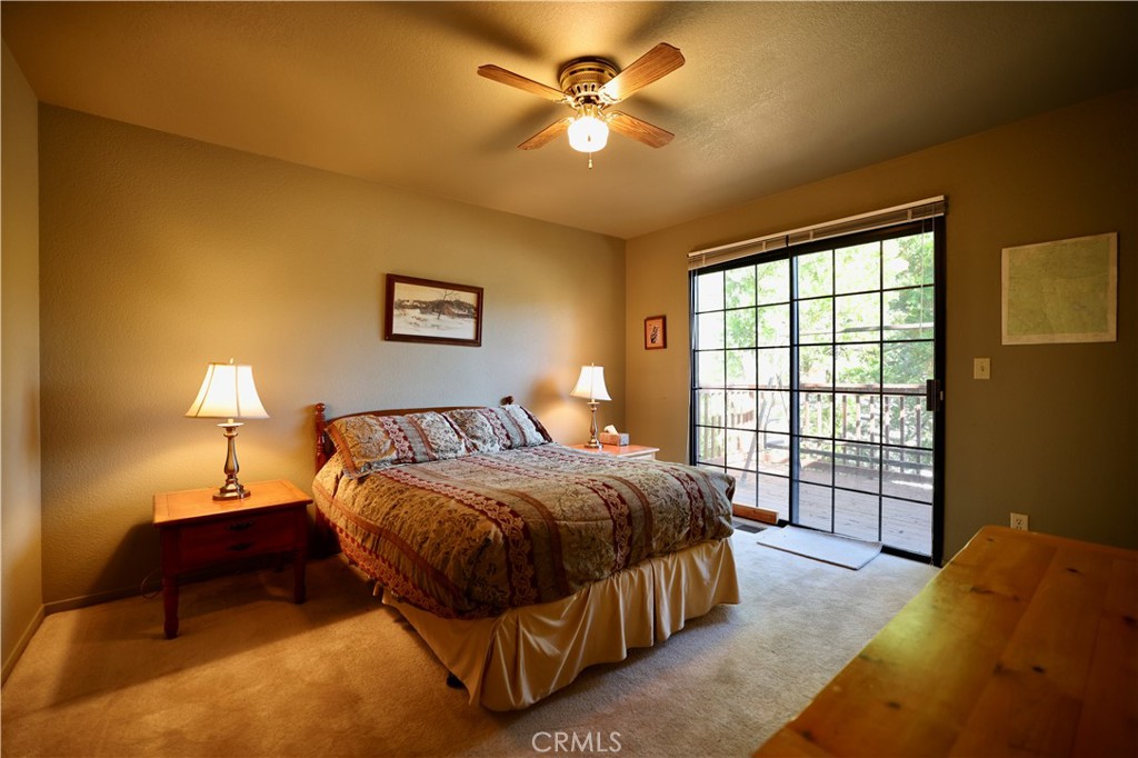40547 Saddleback