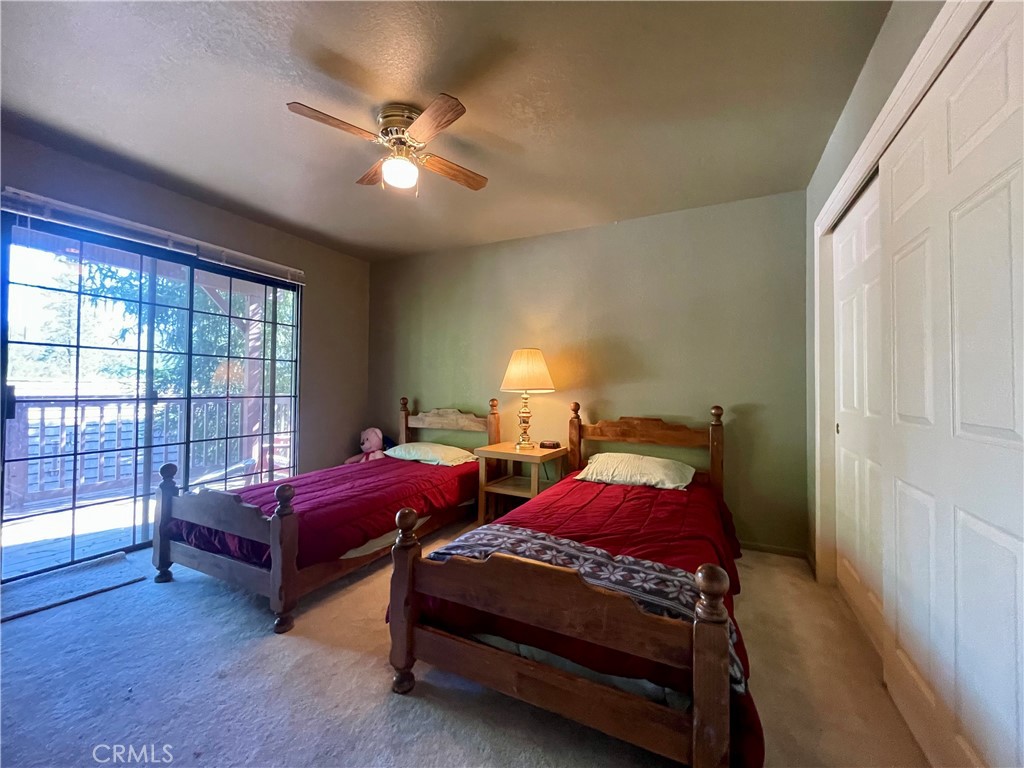40547 Saddleback