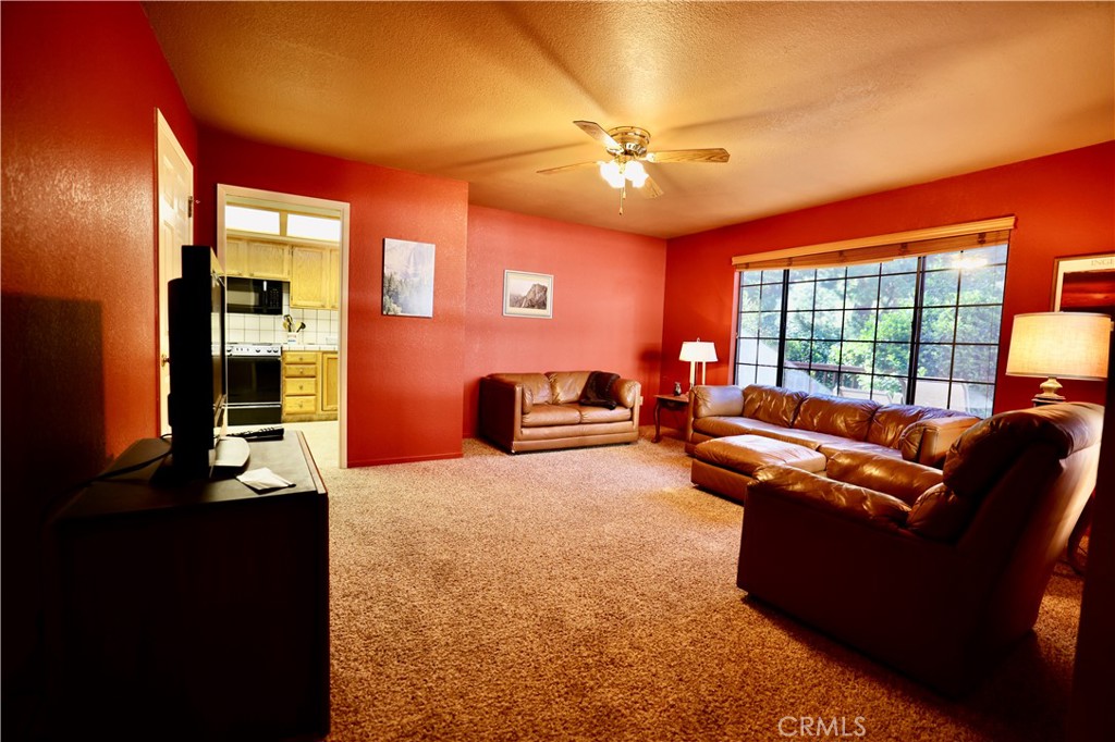 40547 Saddleback