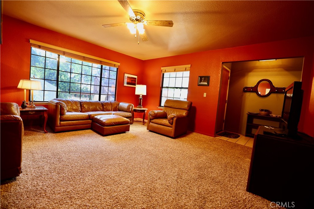 40547 Saddleback