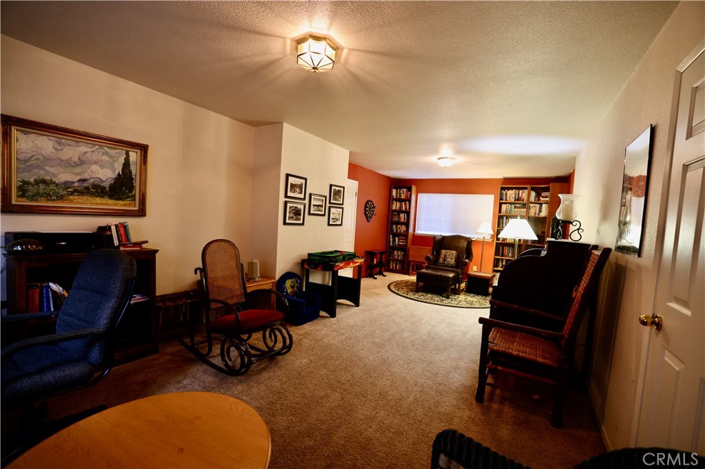 40547 Saddleback