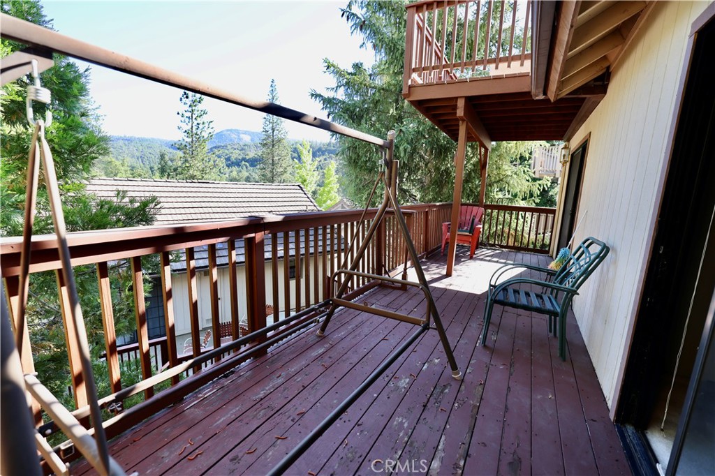 40547 Saddleback