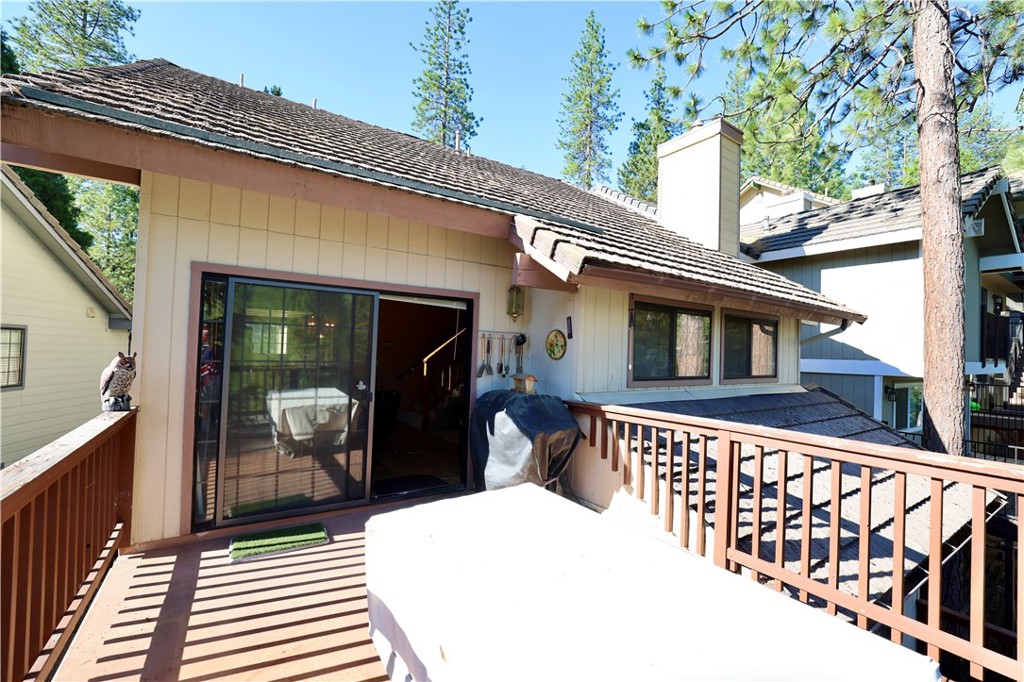 40547 Saddleback