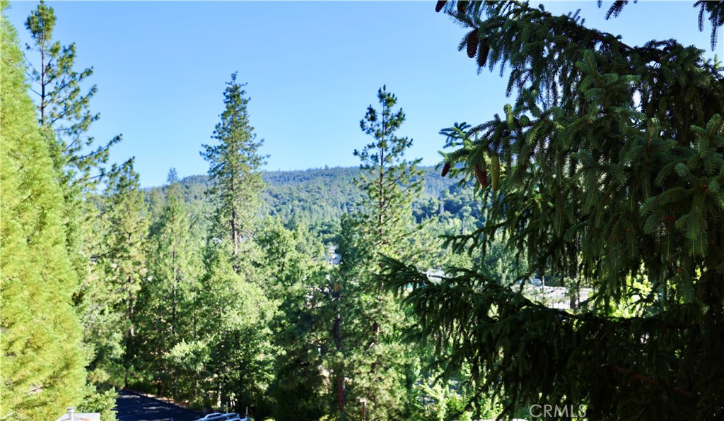 40547 Saddleback
