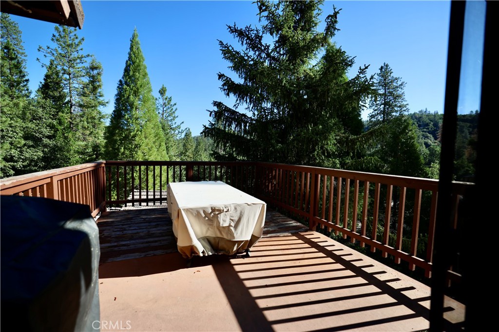 40547 Saddleback