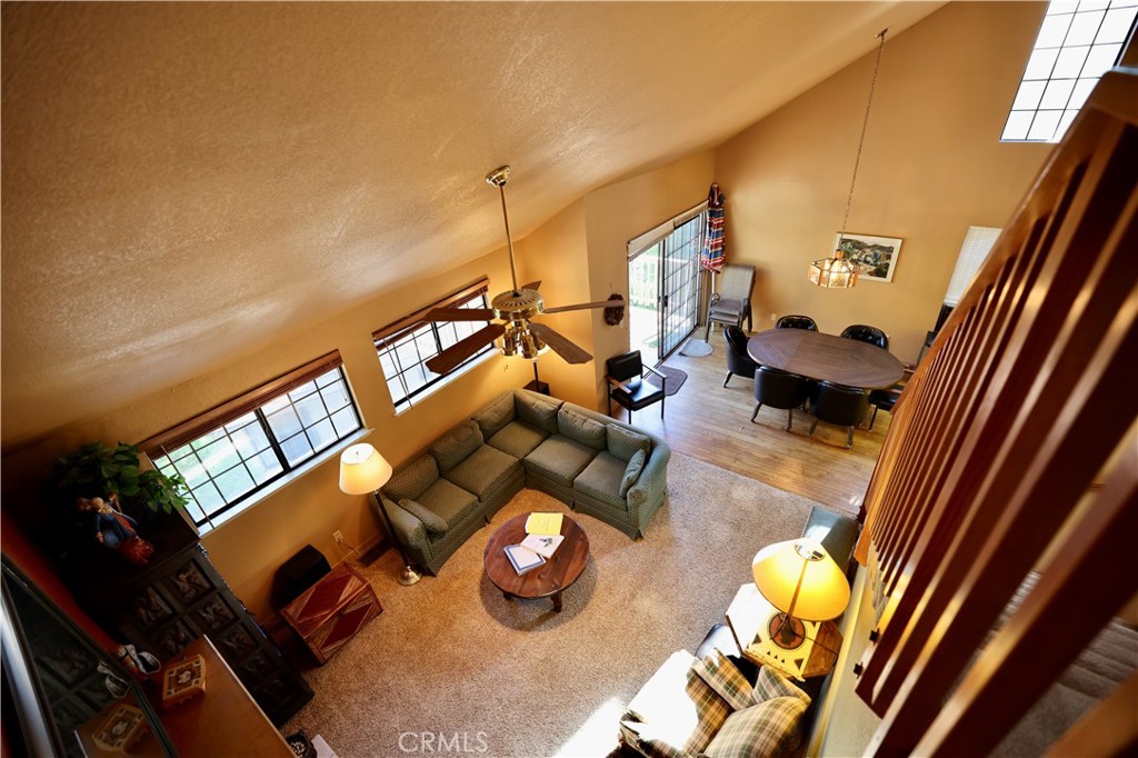 40547 Saddleback