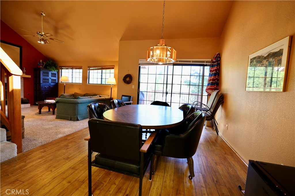 40547 Saddleback