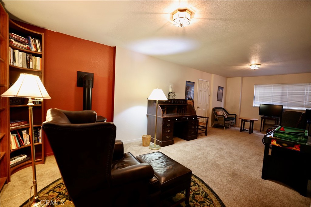 40547 Saddleback