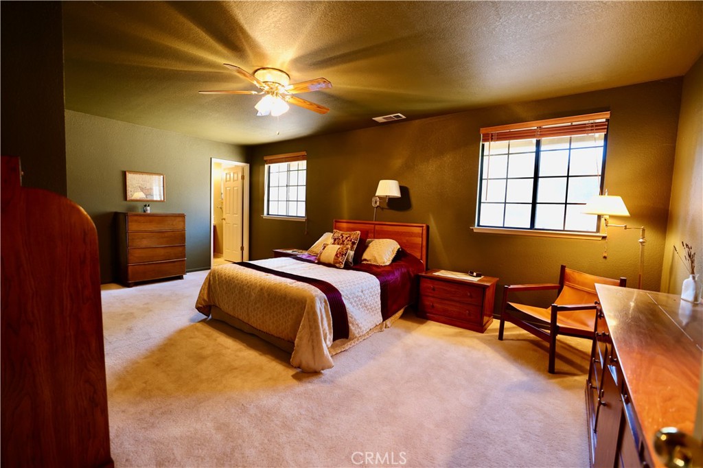 40547 Saddleback