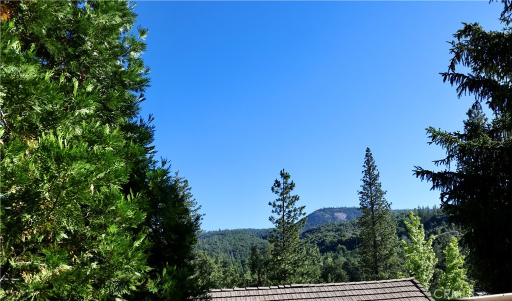 40547 Saddleback