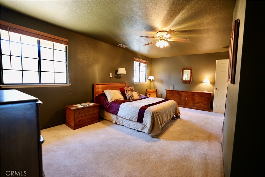 40547 Saddleback