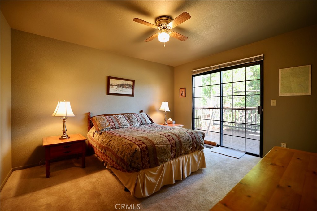 40547 Saddleback