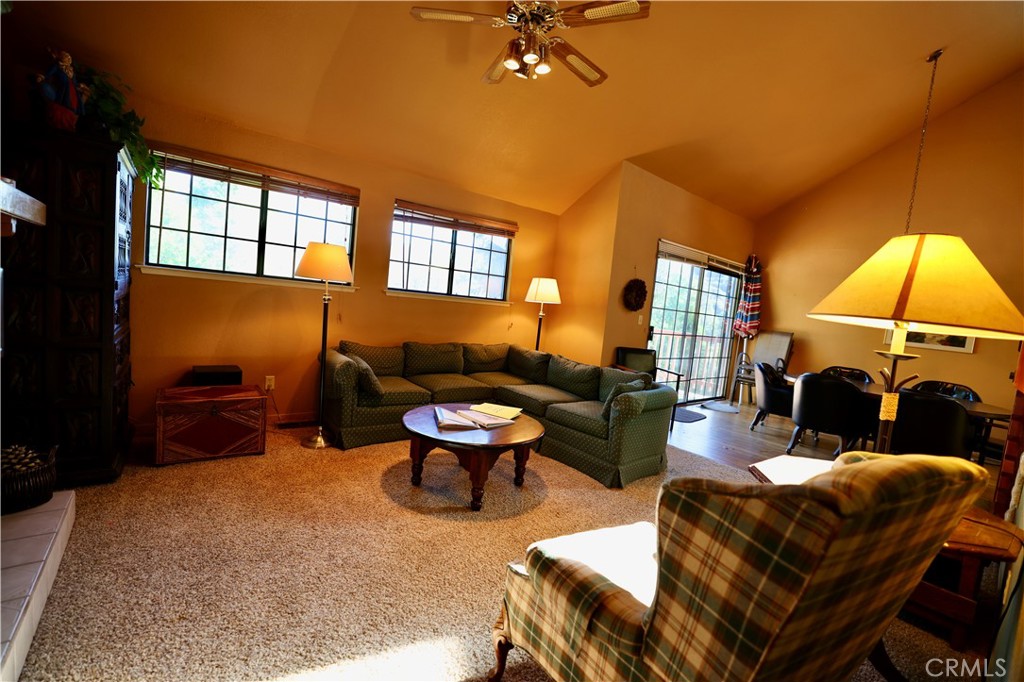 40547 Saddleback