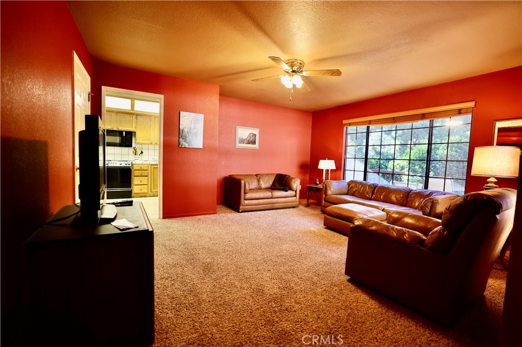 40547 Saddleback