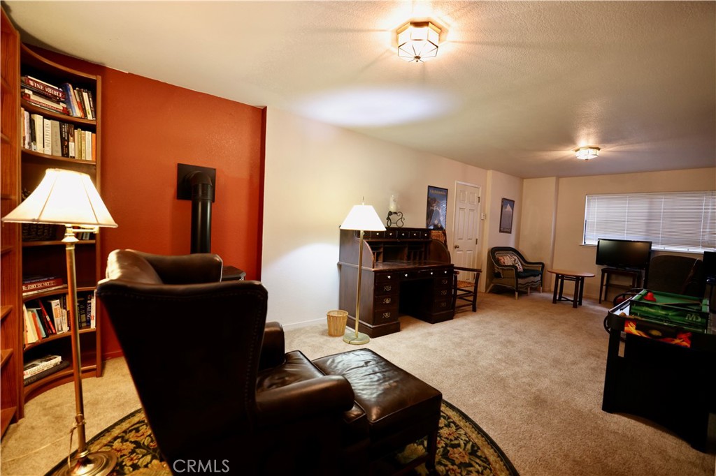 40547 Saddleback