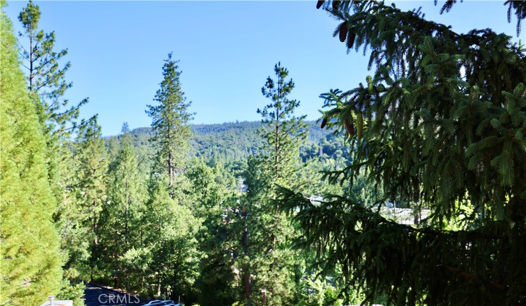 40547 Saddleback