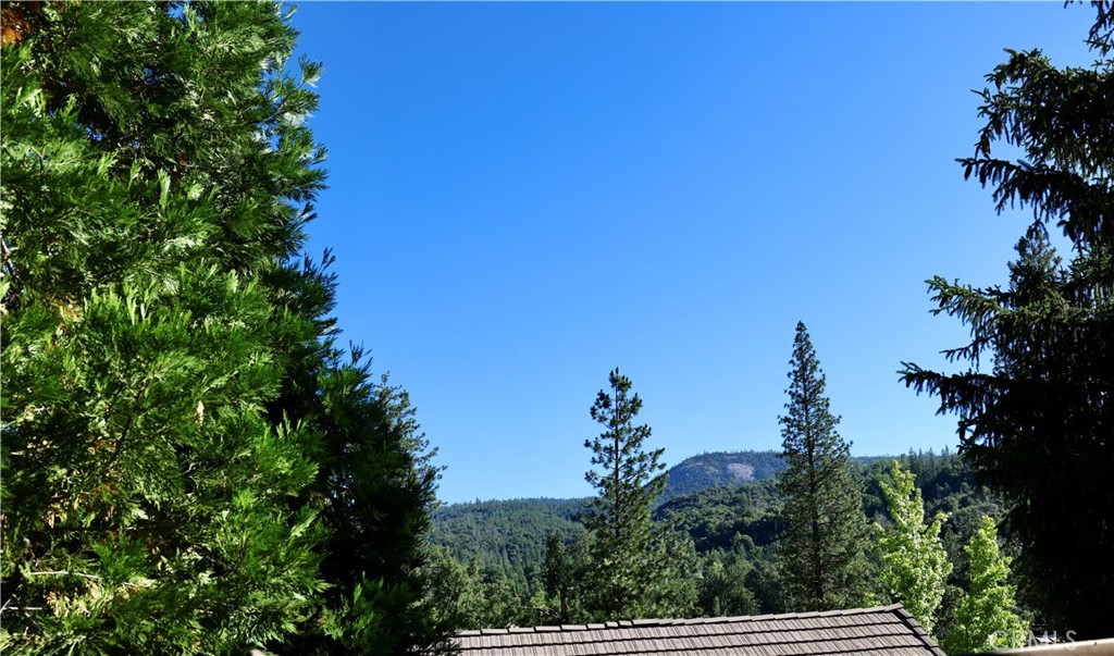 40547 Saddleback