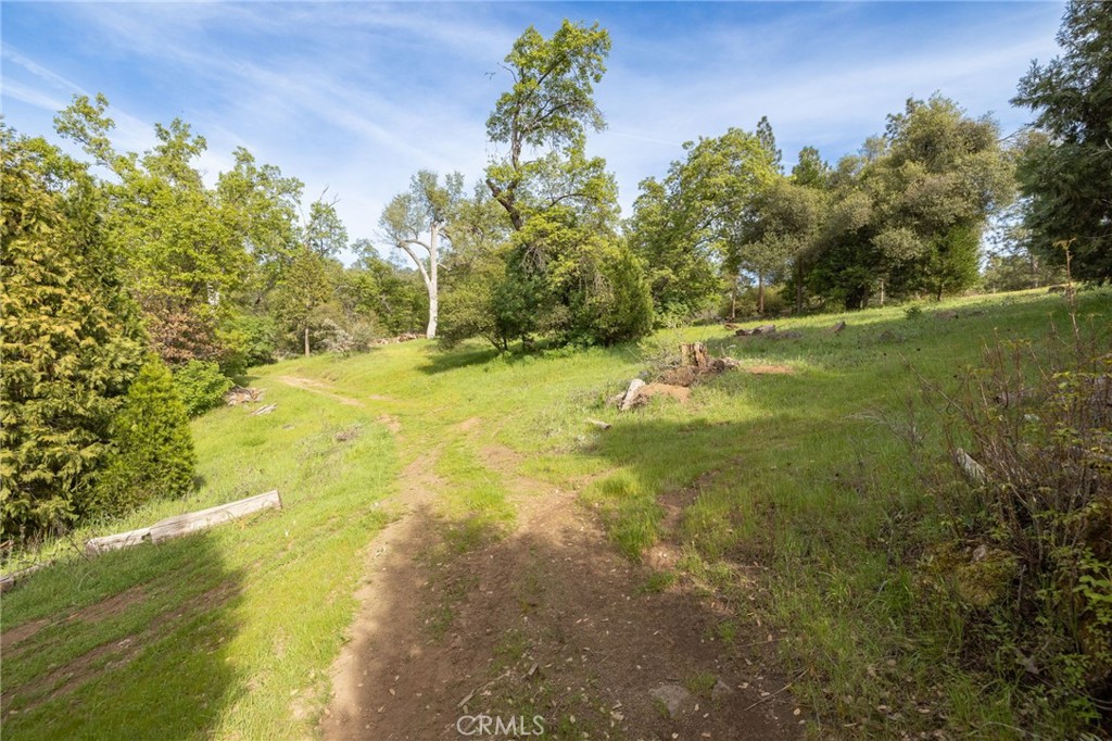 36919 Deer Path Circle
