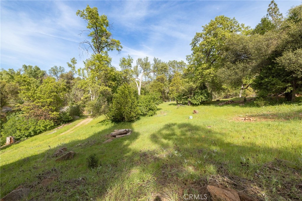 36919 Deer Path Circle