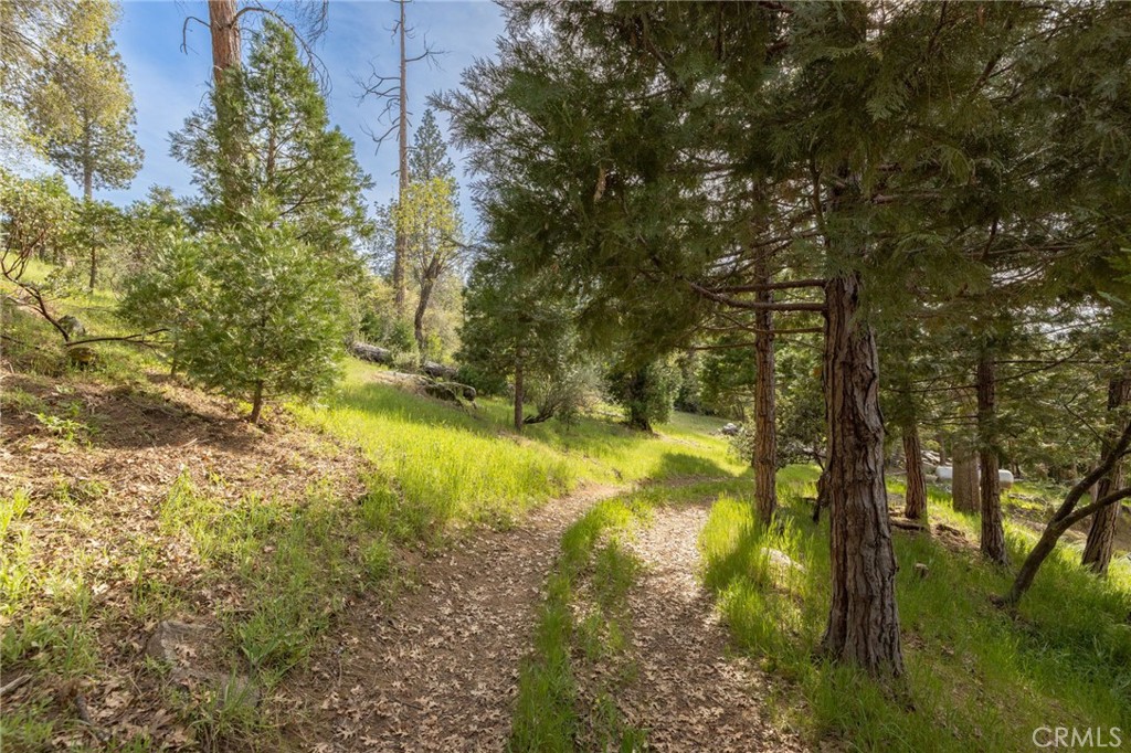 36919 Deer Path Circle