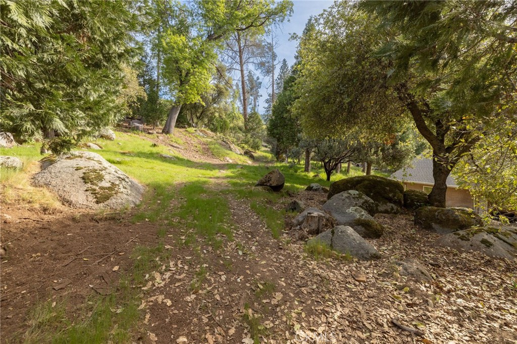 36919 Deer Path Circle