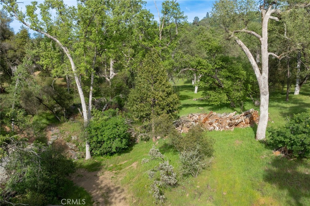 36919 Deer Path Circle
