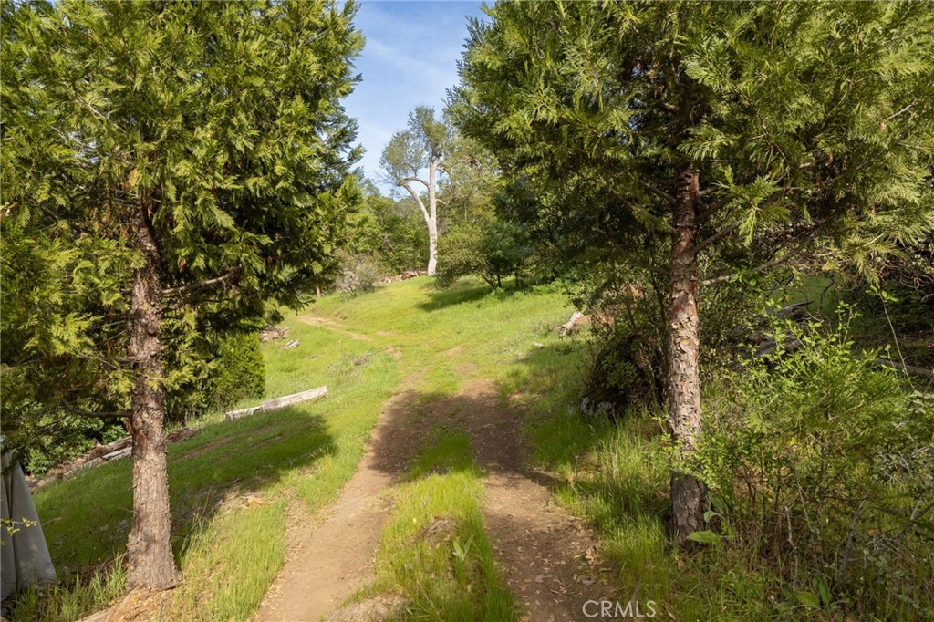 36919 Deer Path Circle