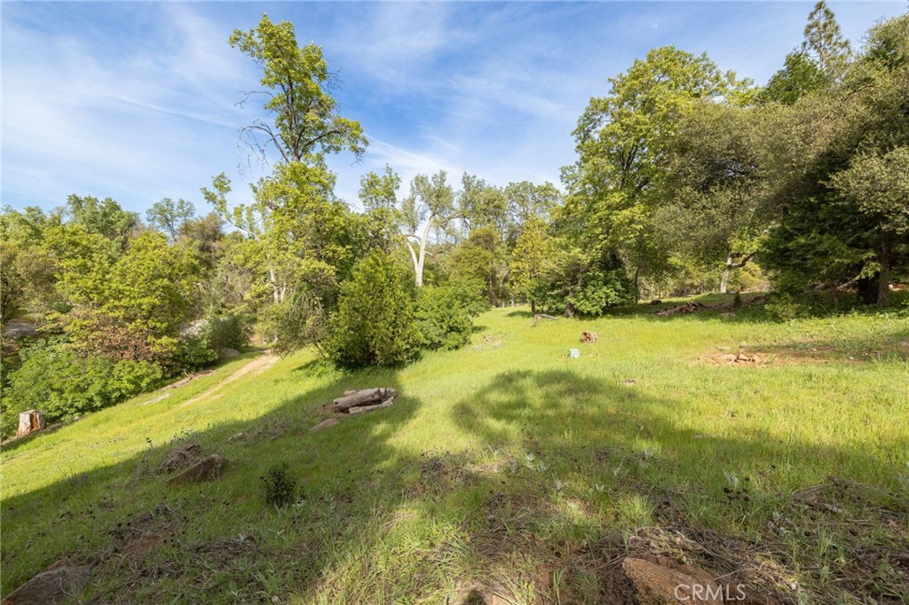 36919 Deer Path Circle