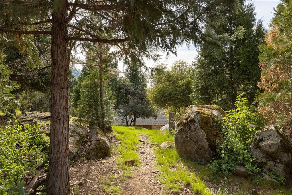36919 Deer Path Circle