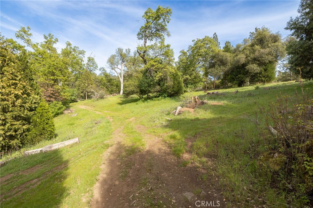 36919 Deer Path Circle