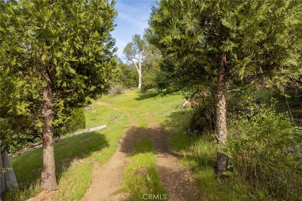 36919 Deer Path Circle