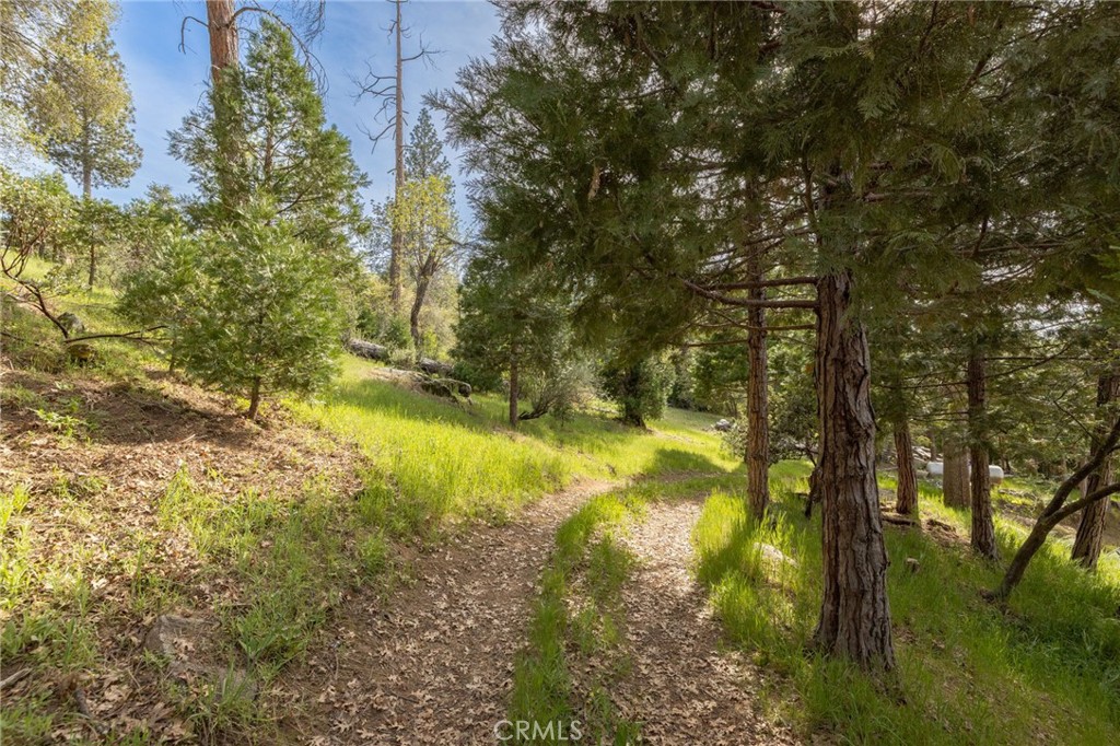 36919 Deer Path Circle
